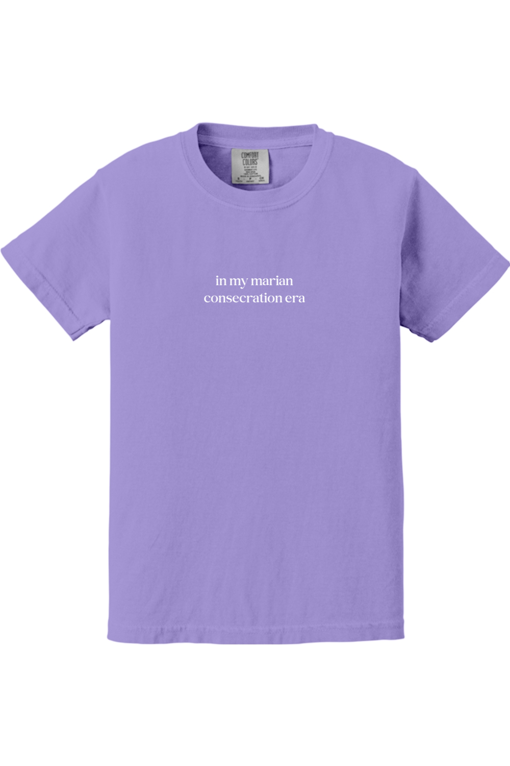 In My Marian Consecration Era Youth T-shirt - Comfort Colors