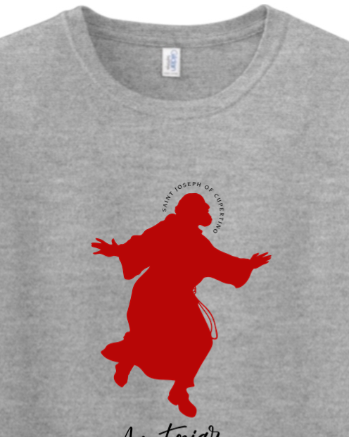Funny Santa Hoodie