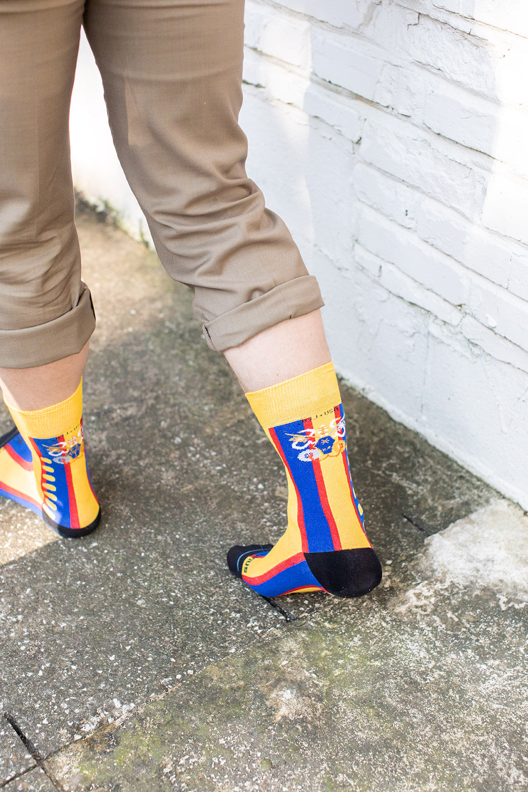 Swiss Guard Adult Socks