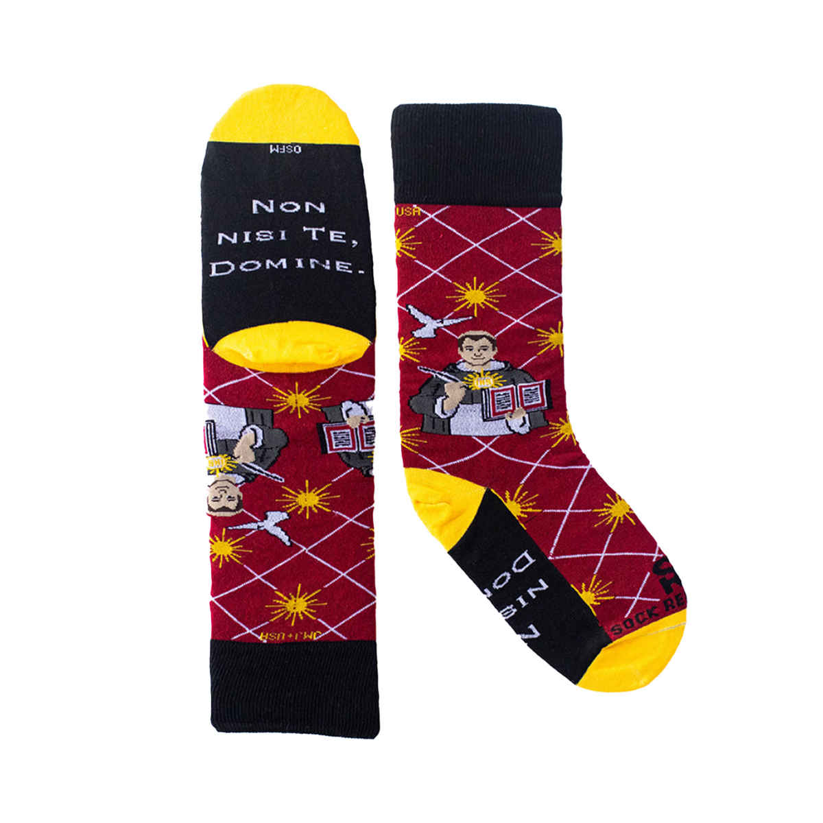 St. Thomas Aquinas Adult XL Socks