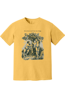 This Is Why We Can’t Have Nice Things - Adam and Eve Adult T-Shirt - Comfort Colors