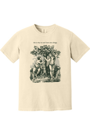 This Is Why We Can’t Have Nice Things - Adam and Eve Adult T-Shirt - Comfort Colors