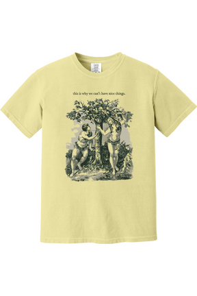 This Is Why We Can’t Have Nice Things - Adam and Eve Adult T-Shirt - Comfort Colors