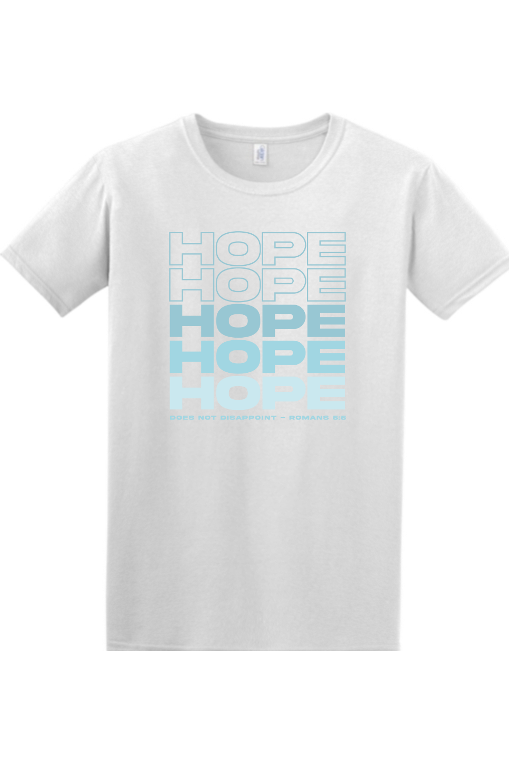 Hope Does Not Disappoint Adult T-Shirt