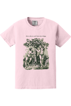 This Is Why We Can’t Have Nice Things - Adam and Eve Youth T-Shirt - Comfort Colors