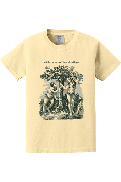 This Is Why We Can’t Have Nice Things - Adam and Eve Youth T-Shirt - Comfort Colors
