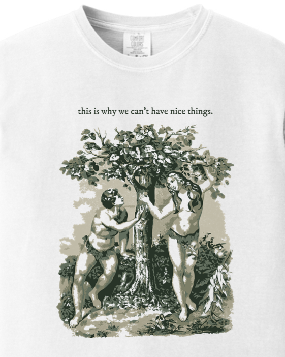 This Is Why We Can’t Have Nice Things - Adam and Eve Adult T-Shirt - Comfort Colors