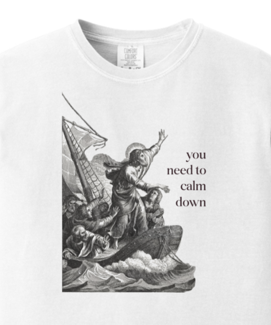 You Need to Calm Down - Jesus Calms the Storm Adult T-shirt - Comfort Colors