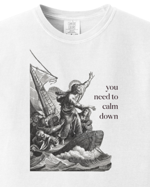 You Need to Calm Down - Jesus Calms the Storm Adult T-shirt - Comfort Colors
