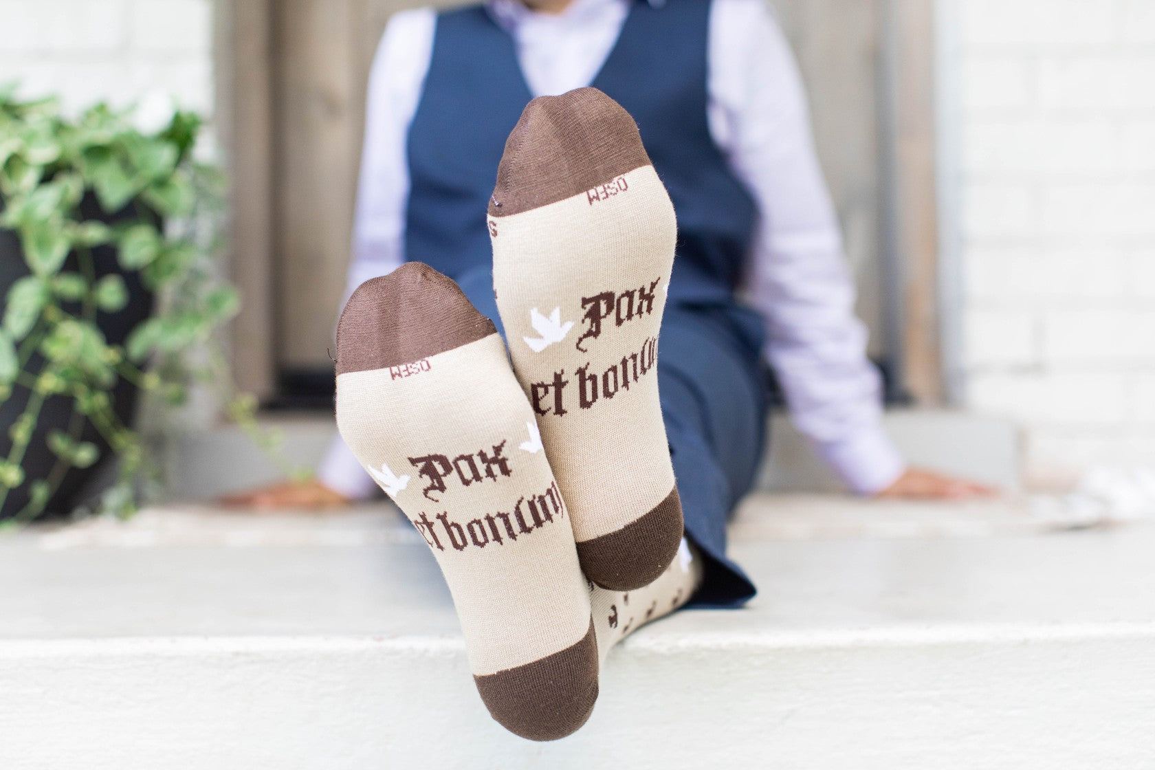 St. Francis of Assisi - Tau Adult Socks