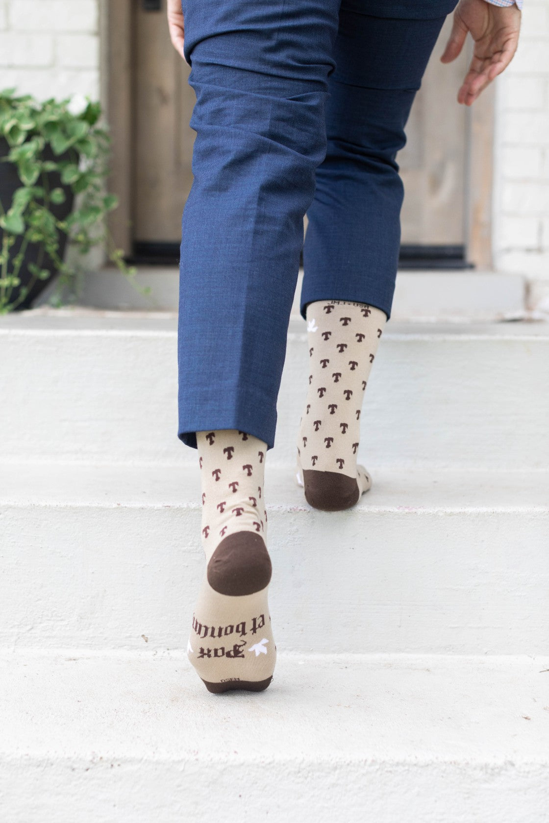 St. Francis of Assisi - Tau Adult Socks