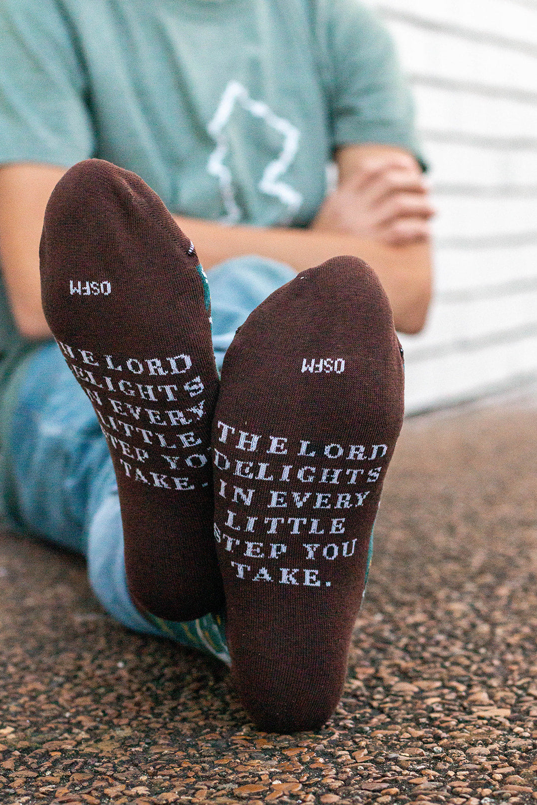 St. Francis de Sales Adult Socks
