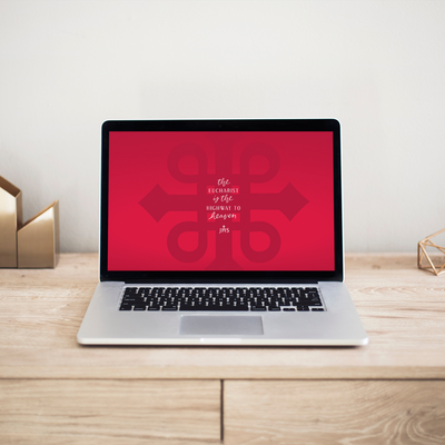 St. Carlo Acutis - FREE Computer and Laptop Wallpaper